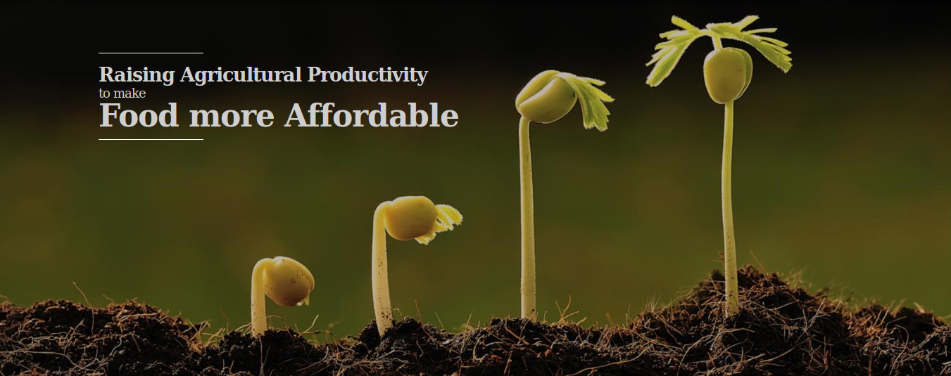 Anulekh's BIOSAT – A Soil Amendment Technology to Lift the Agriculture Productivity