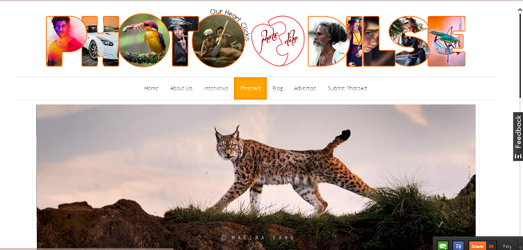Photodilse -  A Platform for all Budding Photographers