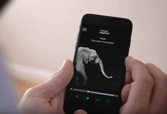 An app that lets you communicate with elephants