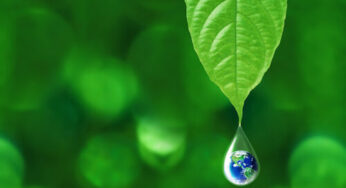 ESG in India: How India’s organizations are contributing for a sustainable future