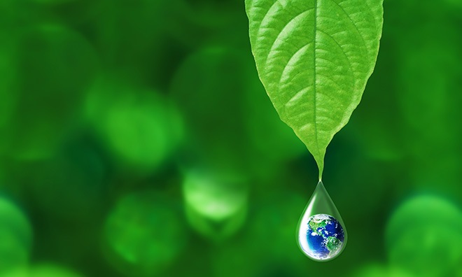 Environmental CSR on the rise as developed nations lead the way for eco-innovation