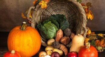 <strong>Agtech foreign expansion & incoming business: Helping the farmer within & beyond shores</strong>
