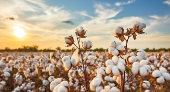 Helping cotton farmers fight Pink Bollworm with a tech called the CREMIT