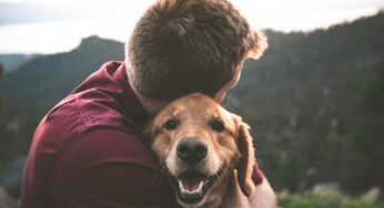 Leap Venture Studio’s 9th Cohort Demo Day highlights rocks the pet care industry with modern innovations